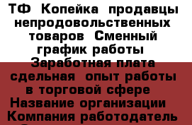 ТФ "Копейка" продавцы непродовольственных товаров.-Сменный график работы;-Заработная плата сдельная;-опыт работы в торговой сфере › Название организации ­ Компания-работодатель › Отрасль предприятия ­ Другое › Минимальный оклад ­ 20 000 - Все города Работа » Вакансии   . Мурманская обл.,Мурманск г.
